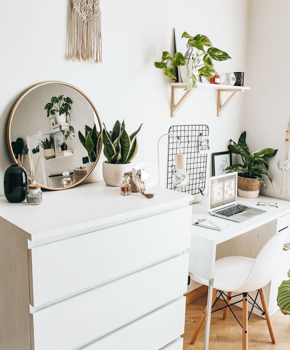 White and green 🍃🤍