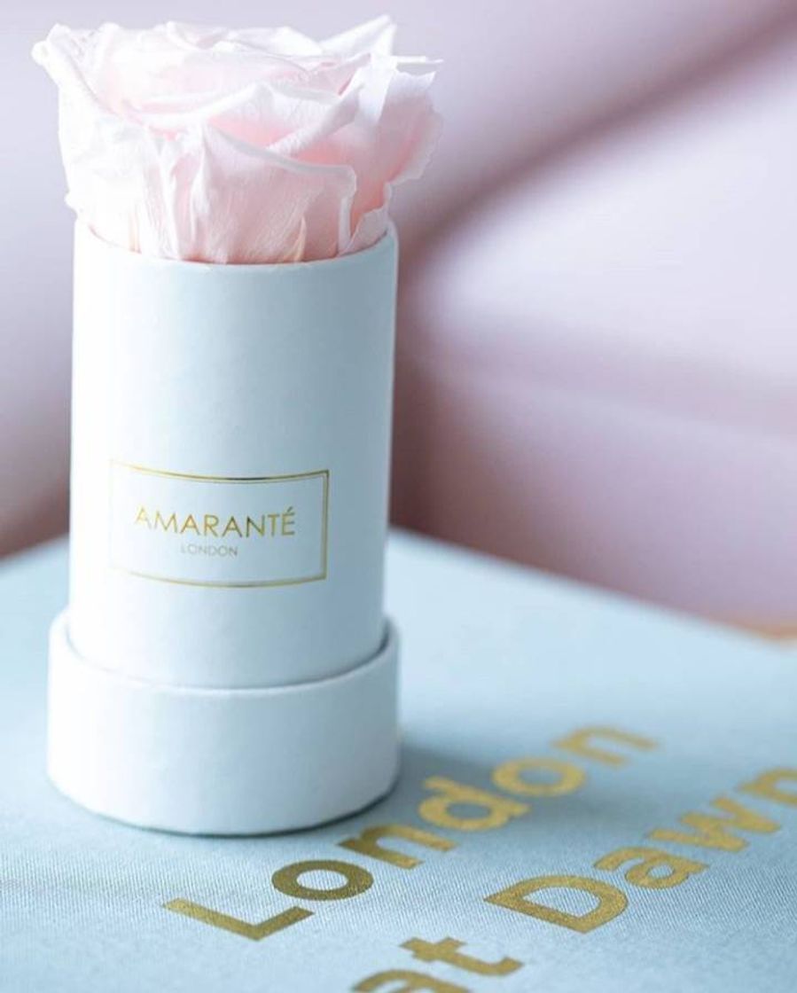 Producto Amarante London: Infinity Roses