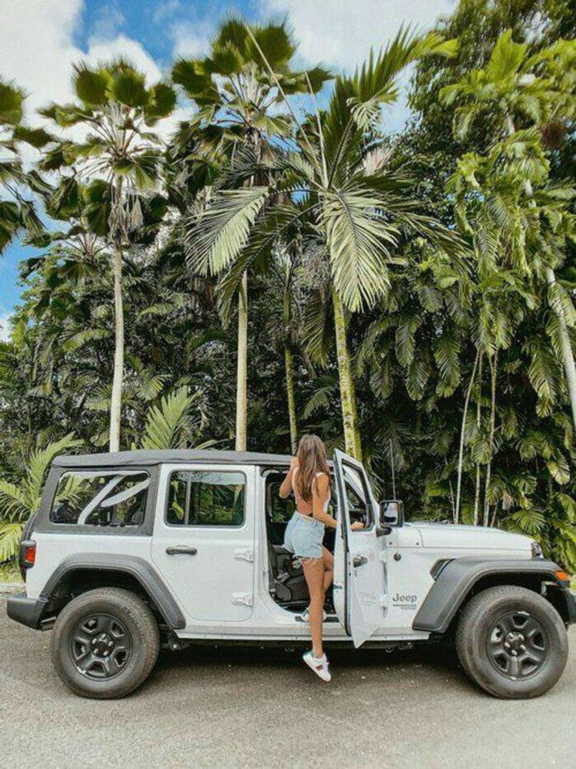 Moda Um sonho Jeep🚙