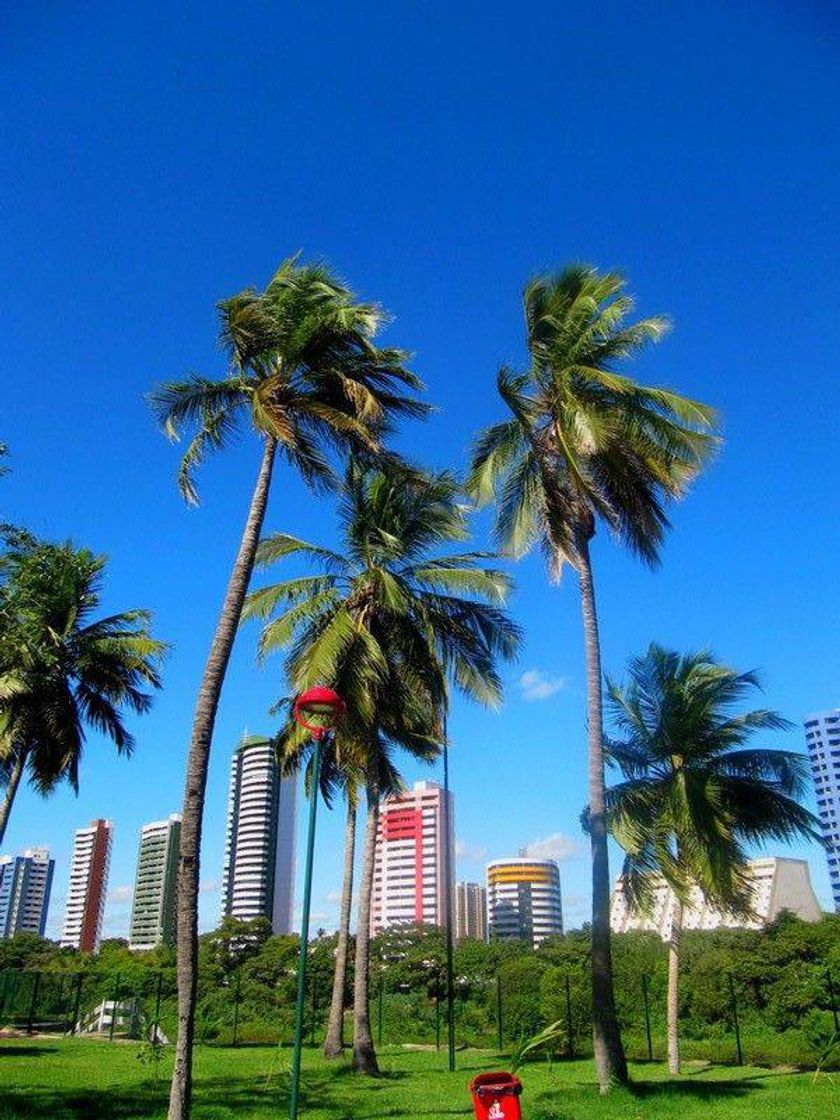 Lugar Teresina