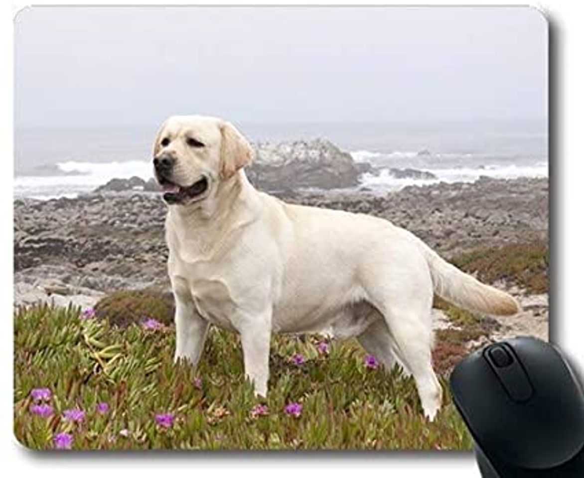 Yanteng Tapetes para Juegos