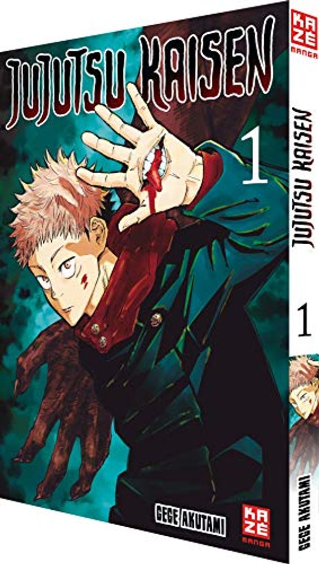 Libro Jujutsu Kaisen