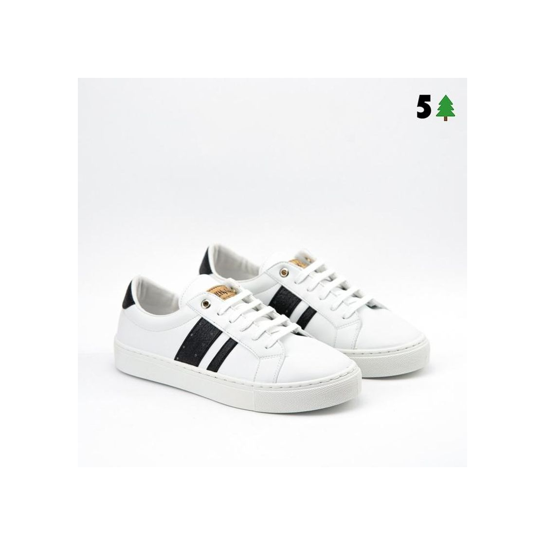 Social The AMEs – All My Eco