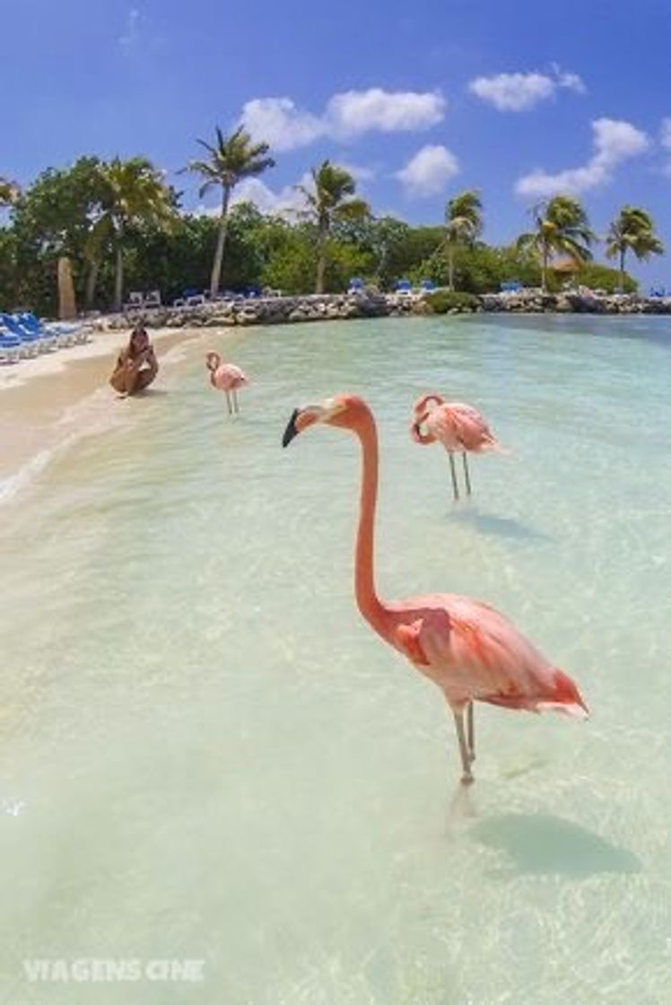 Places Aruba