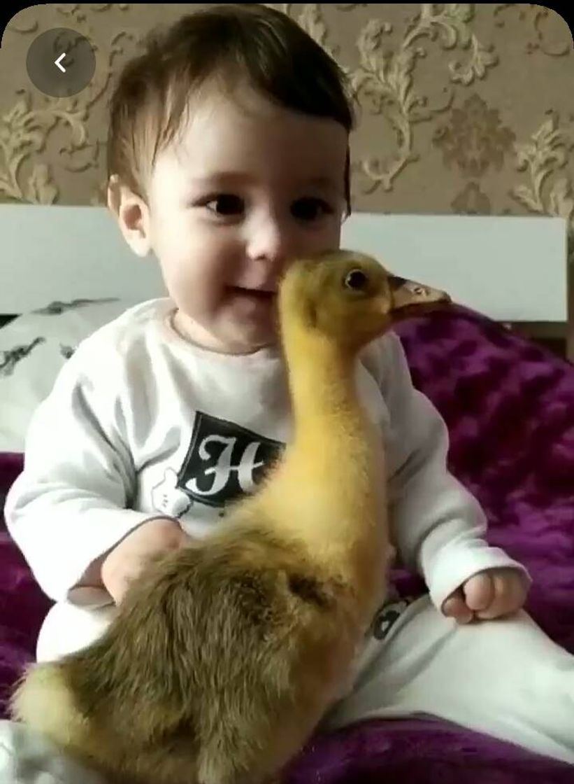 Moda Baby and duck,BFF 