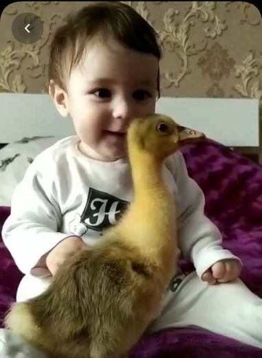 Baby and duck,BFF 
