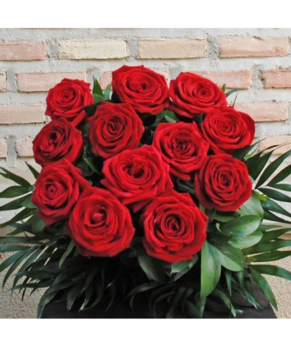 Social RAMO DE 12 ROSAS rojas NATURALES