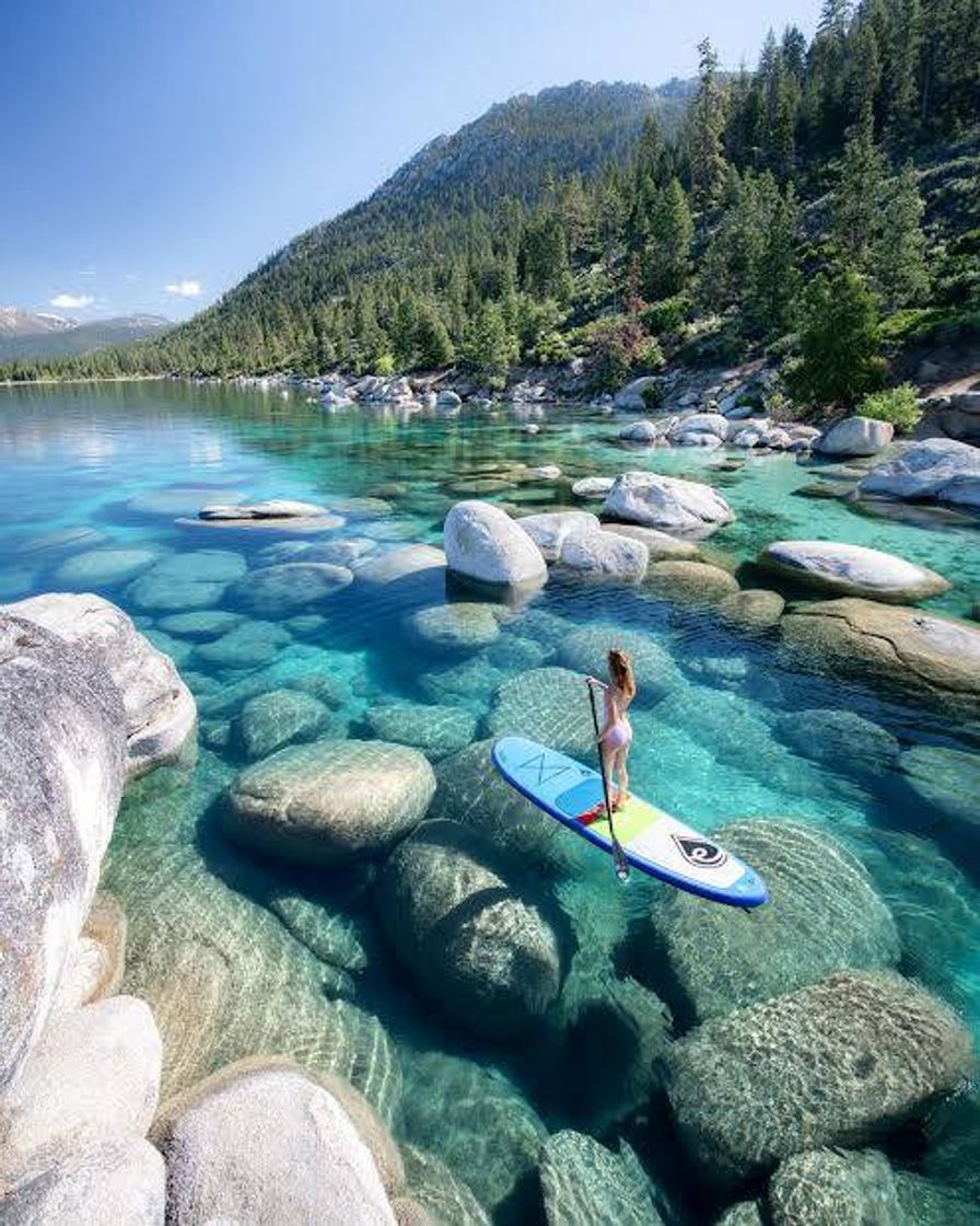 Social  Lago Tahoe (California)