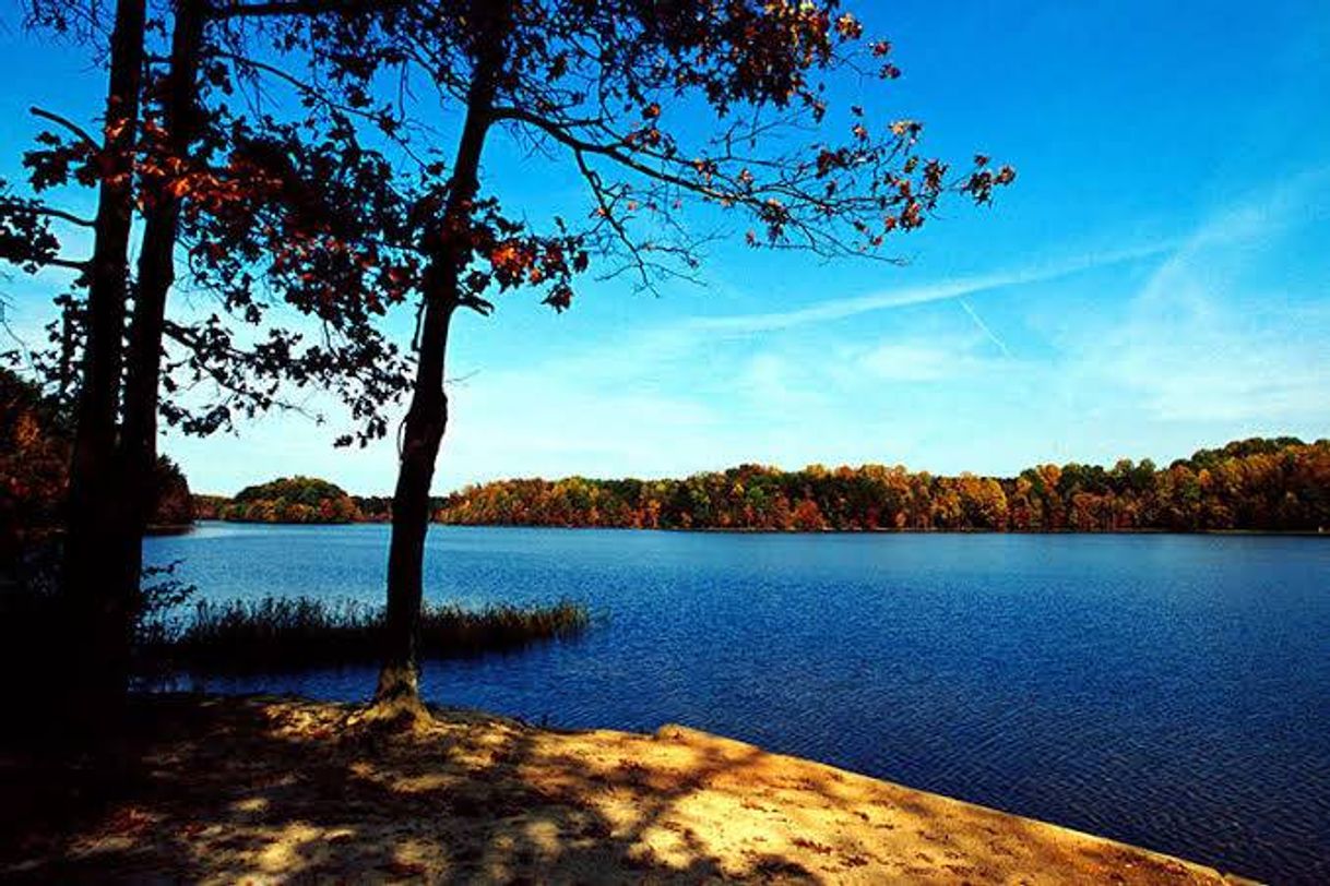 Lugar Burke Lake Park