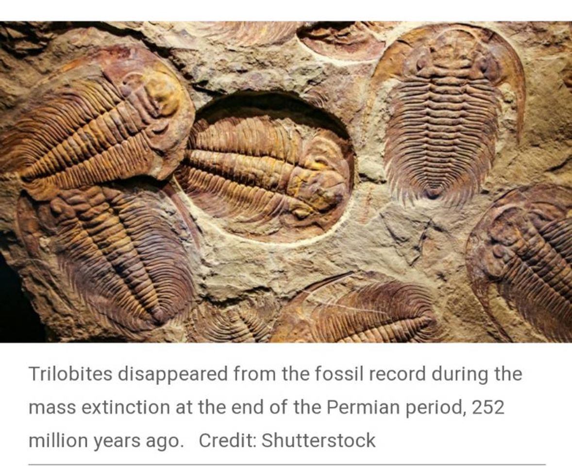 Moda Supercomputer scours fossil record for Earth’s hidden...