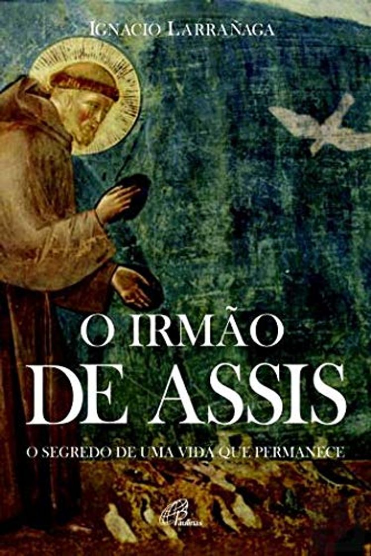 Book O Irmão de Assis O segredo de uma vida que permanece