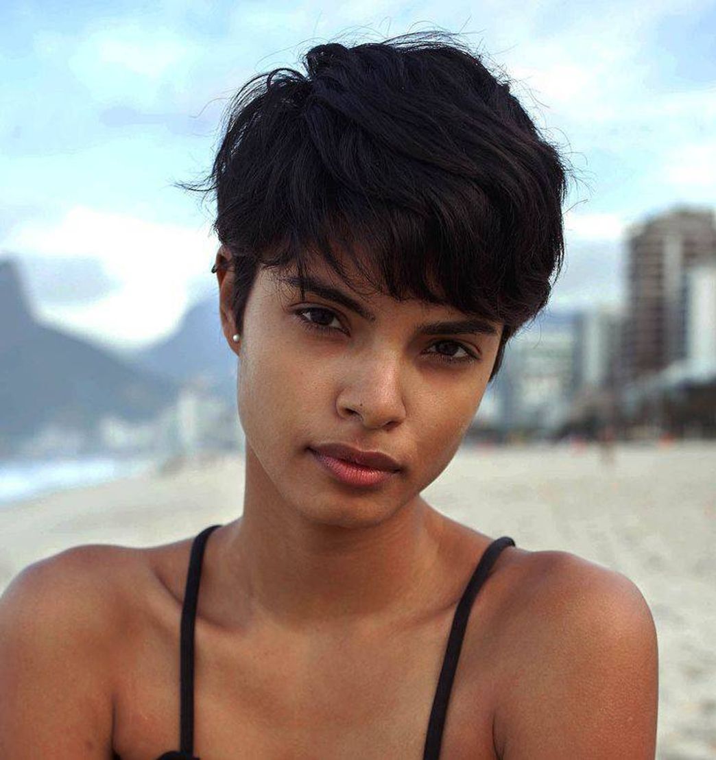Social Short hair