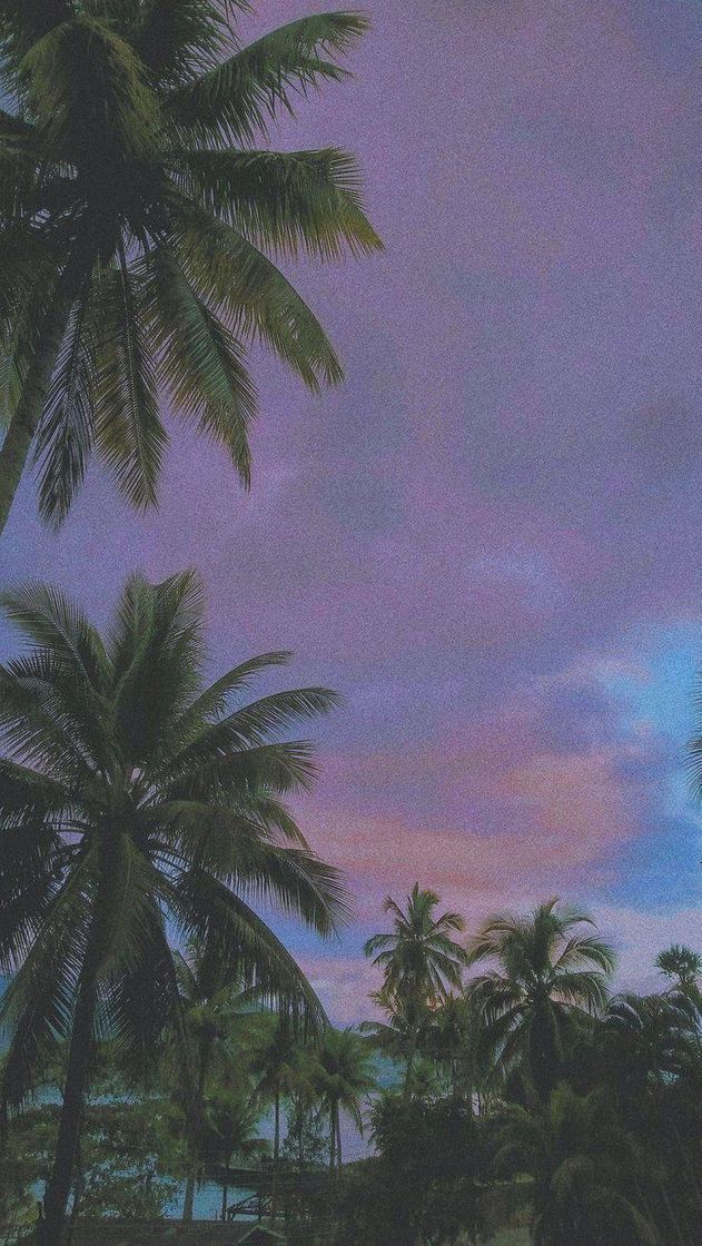 Social 💛Summer🧡
