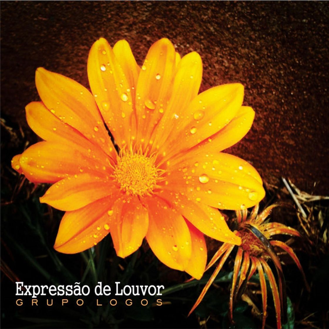 Expressão de Louvor