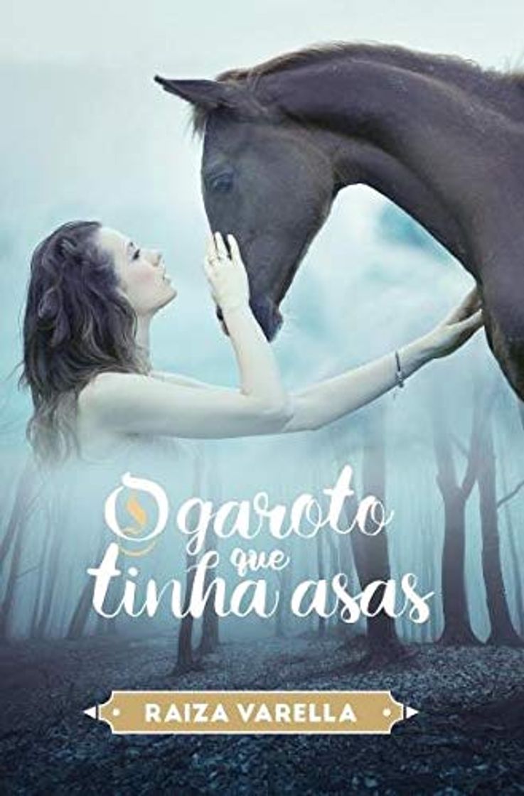 Book O Garoto que Tinha Asas