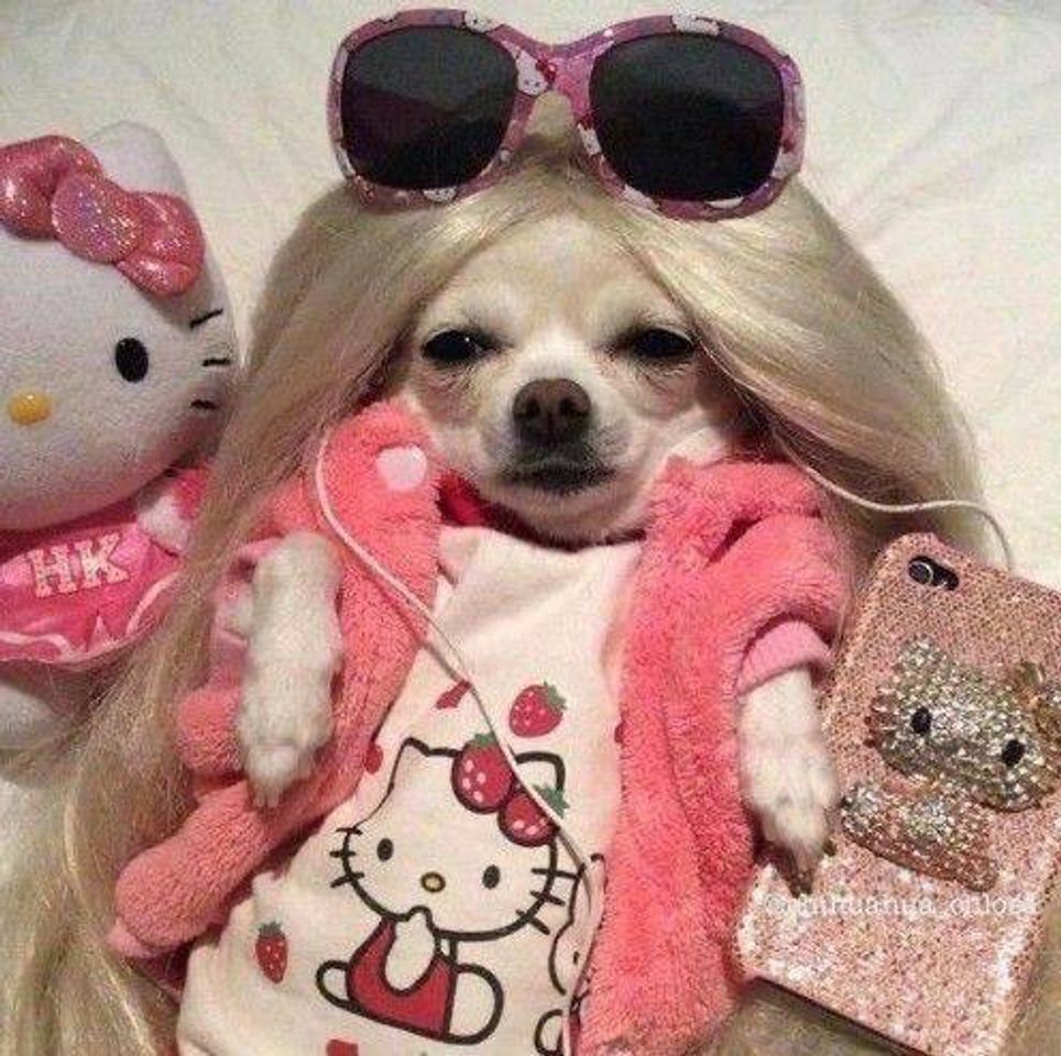 Fashion Cachorro Barbie💖