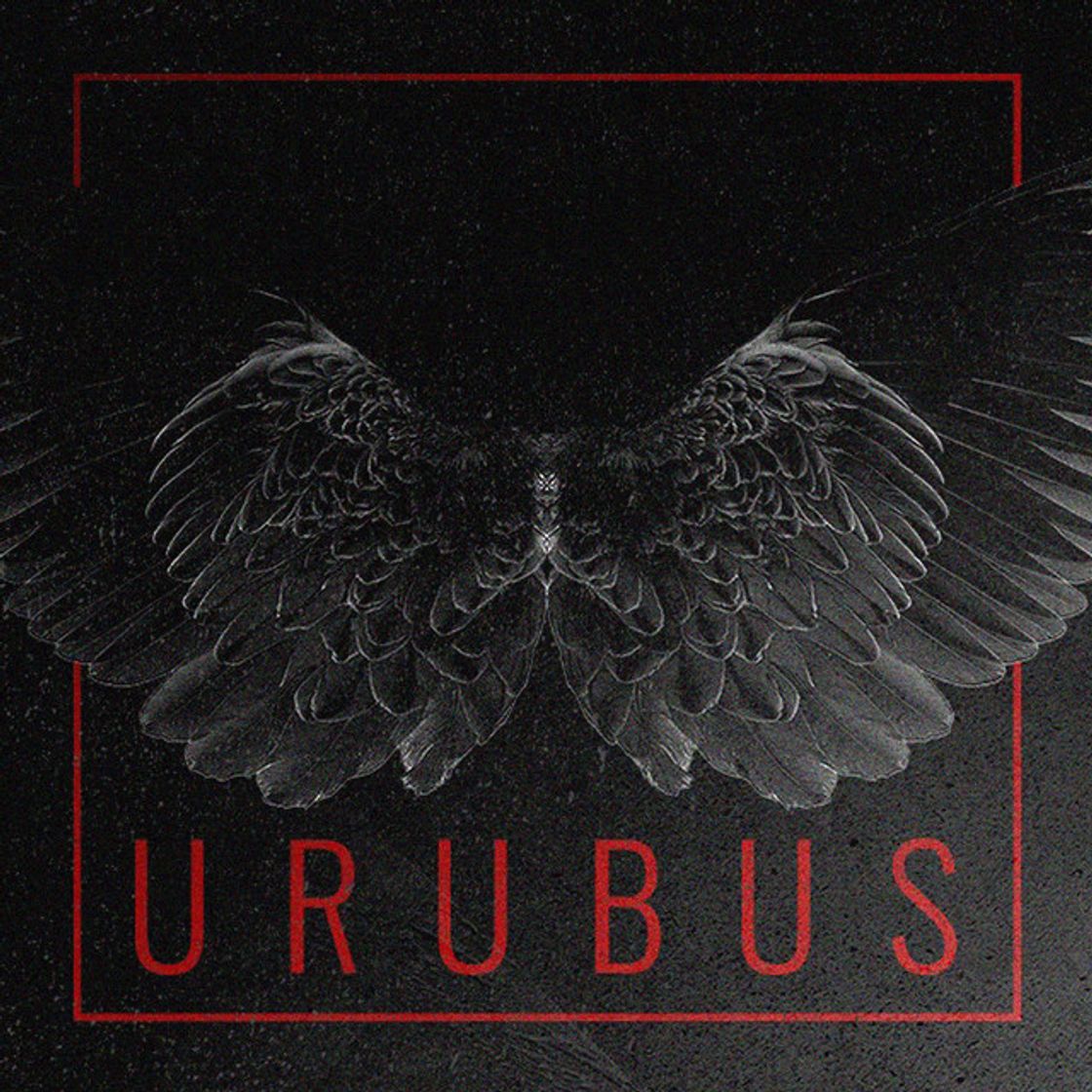 Music Urubus