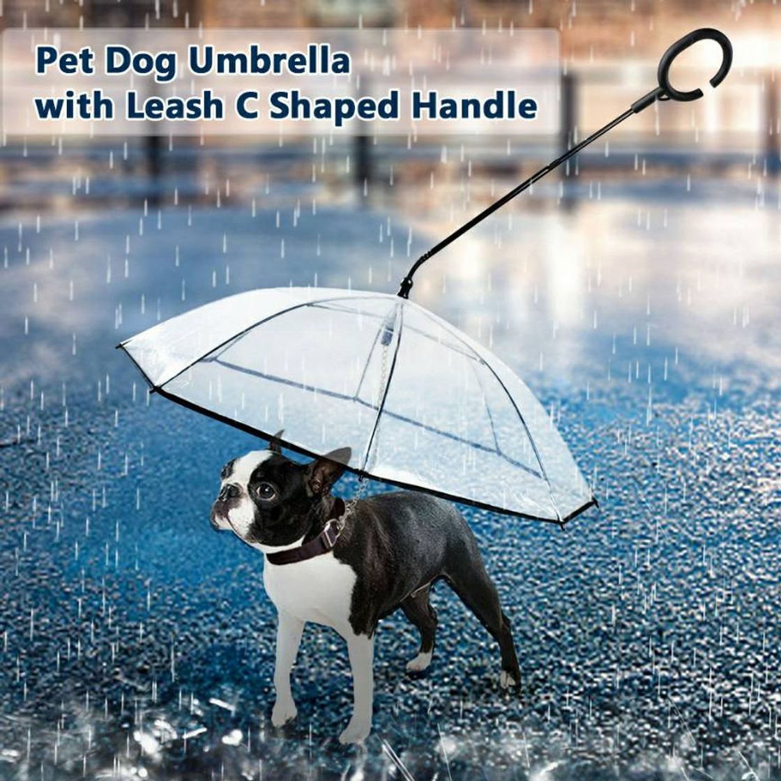 Social Guarda-chuva para cães