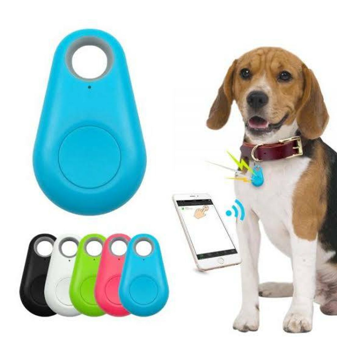 Social GPS para pets