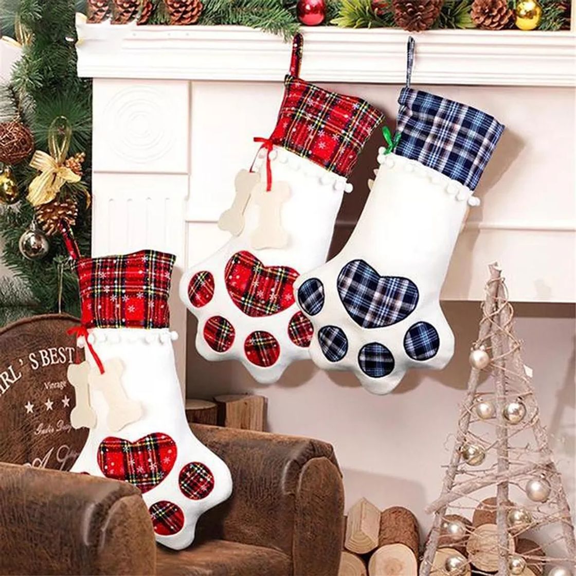 Social Botas patinha