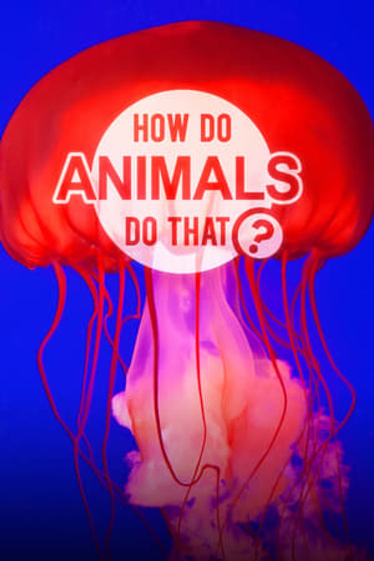 Serie How Do Animals Do That?