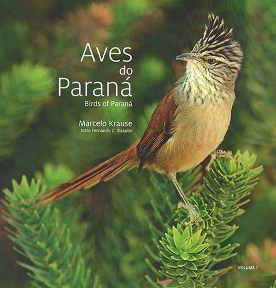 Social Aves do Paraná