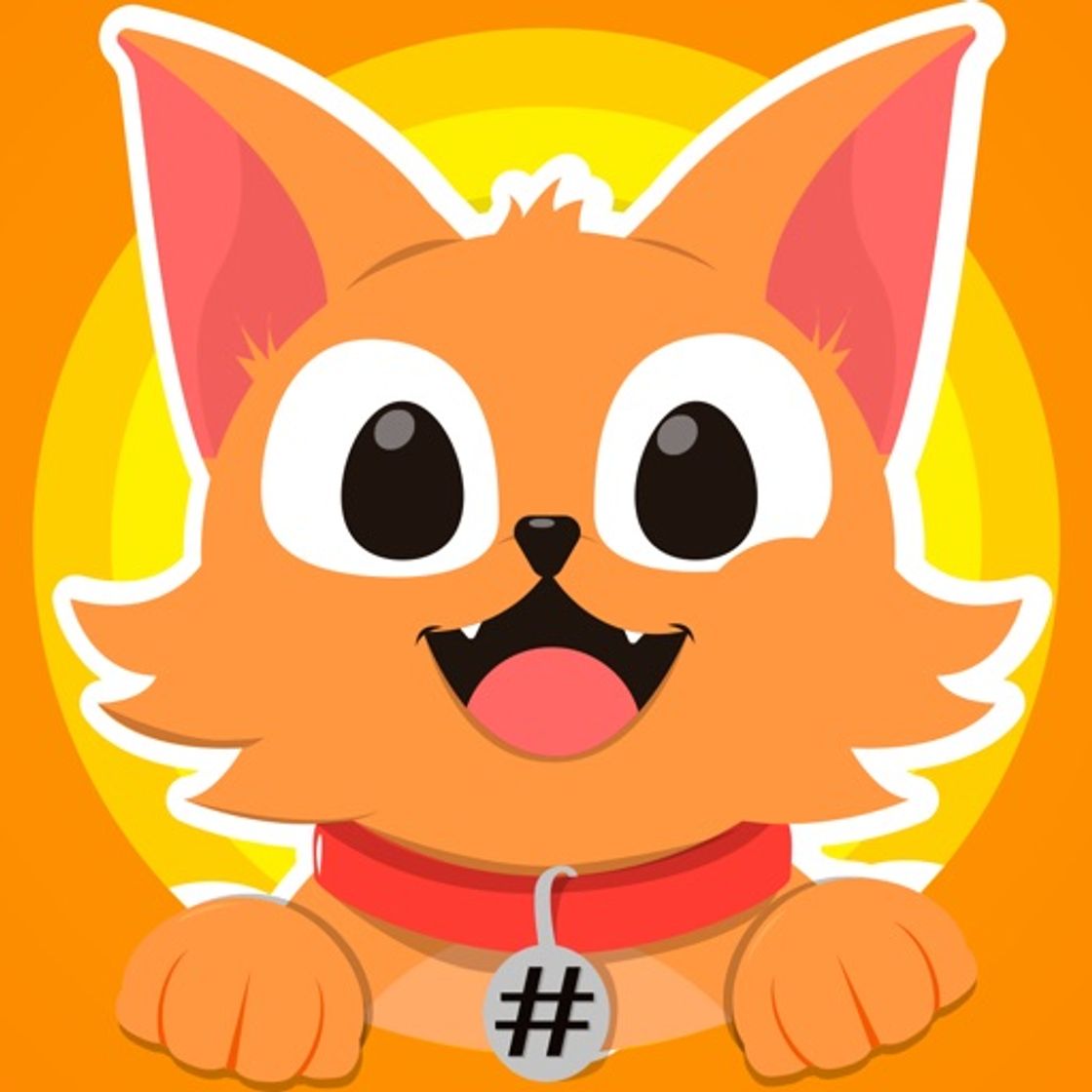 App Hashcat - Cat's social network