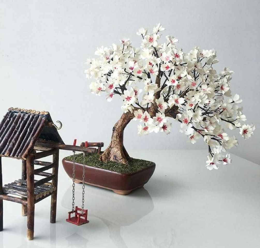 Social Bonsai de papel