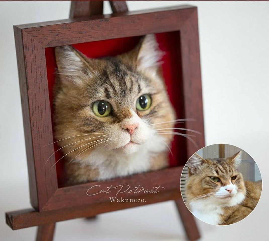 Social Gato em lã