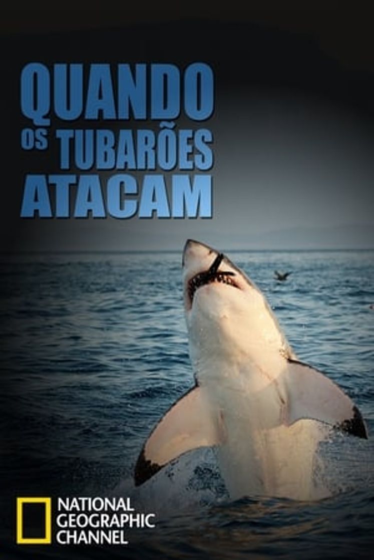 Serie When Sharks Attack
