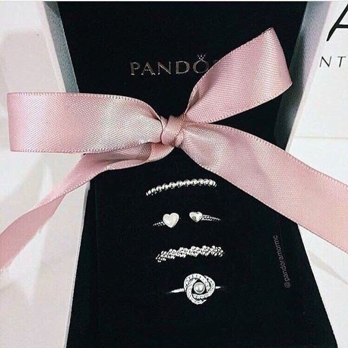 Fashion Pandora 🖤✨