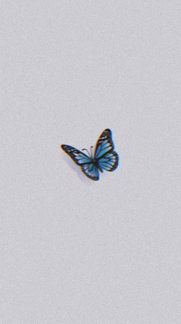 Fashion butterfly 💙🦋🦋