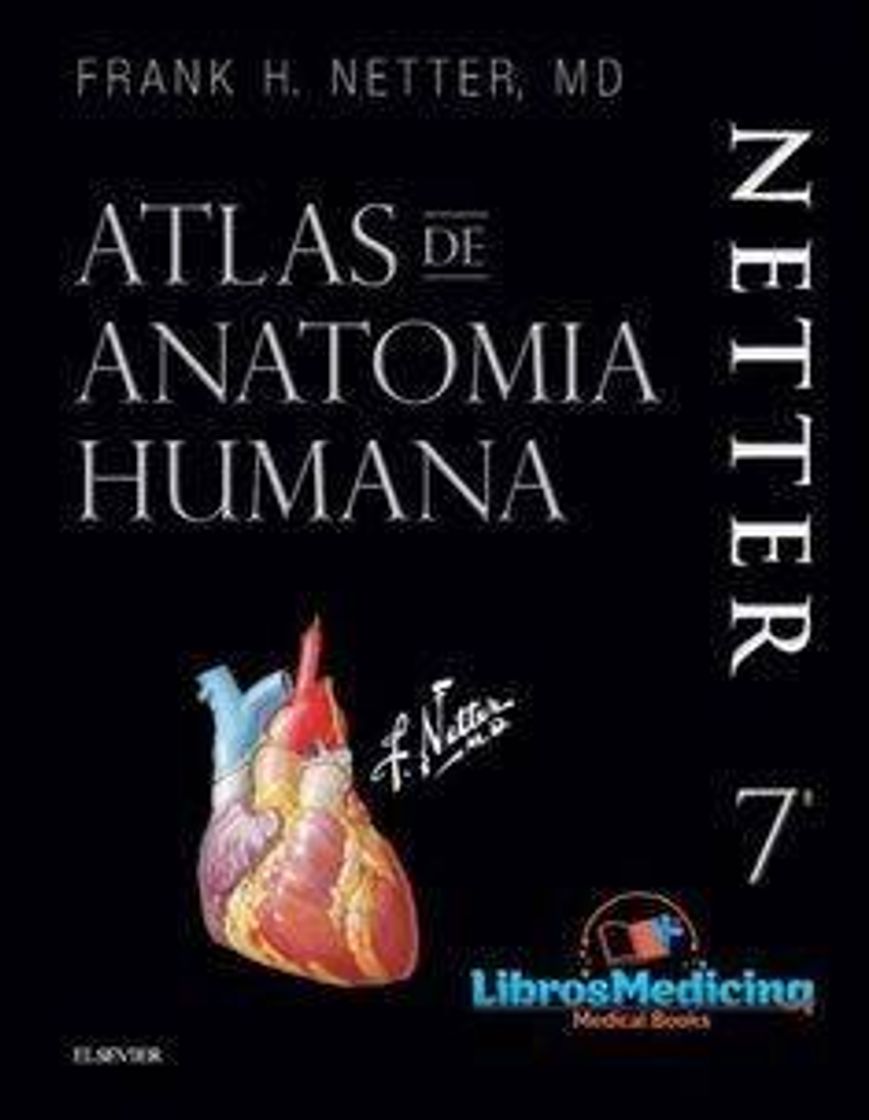 Book Netter - Anatomia Humana