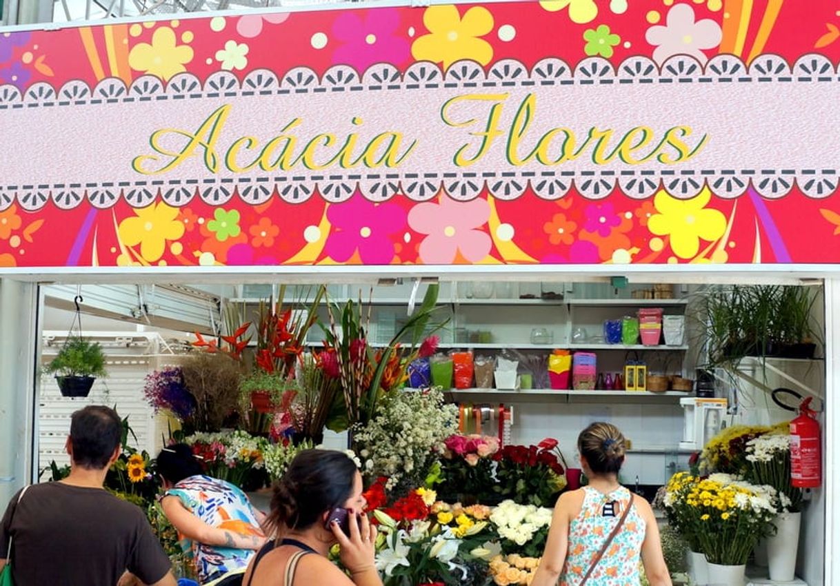 Lugar Floricultura Acácia Flor