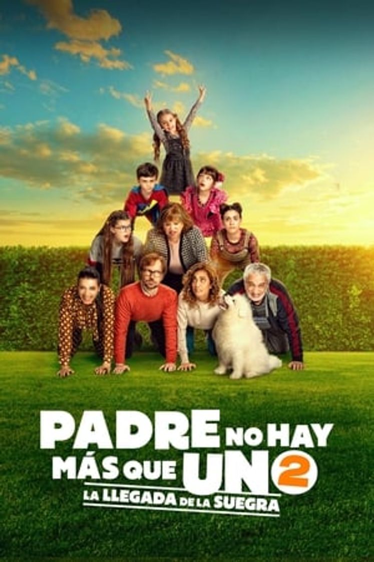 Película Padre no hay más que uno 2: la llegada de la suegra