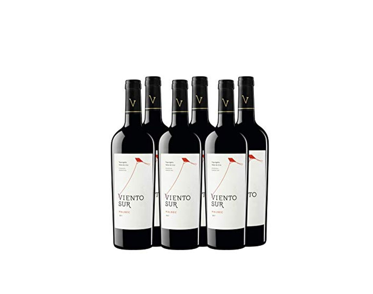 Products Viento Sur Malbec - Argentina, Mendoza, Valle de Uco, Tupungato, Gualtallery -