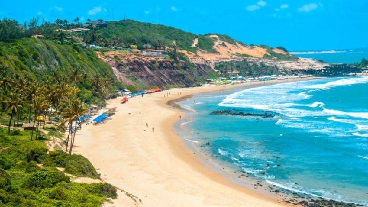 Social Praia da pipa-RN