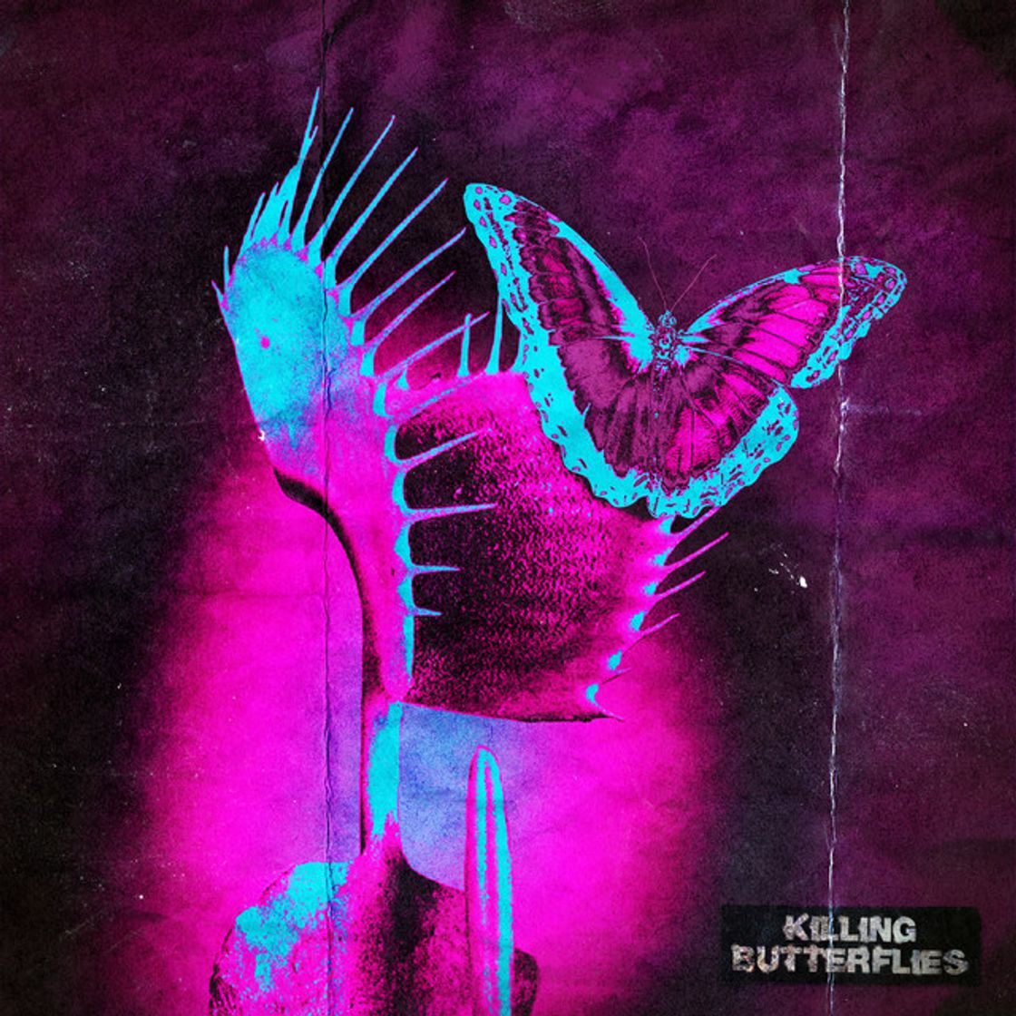 Music Killing Butterflies