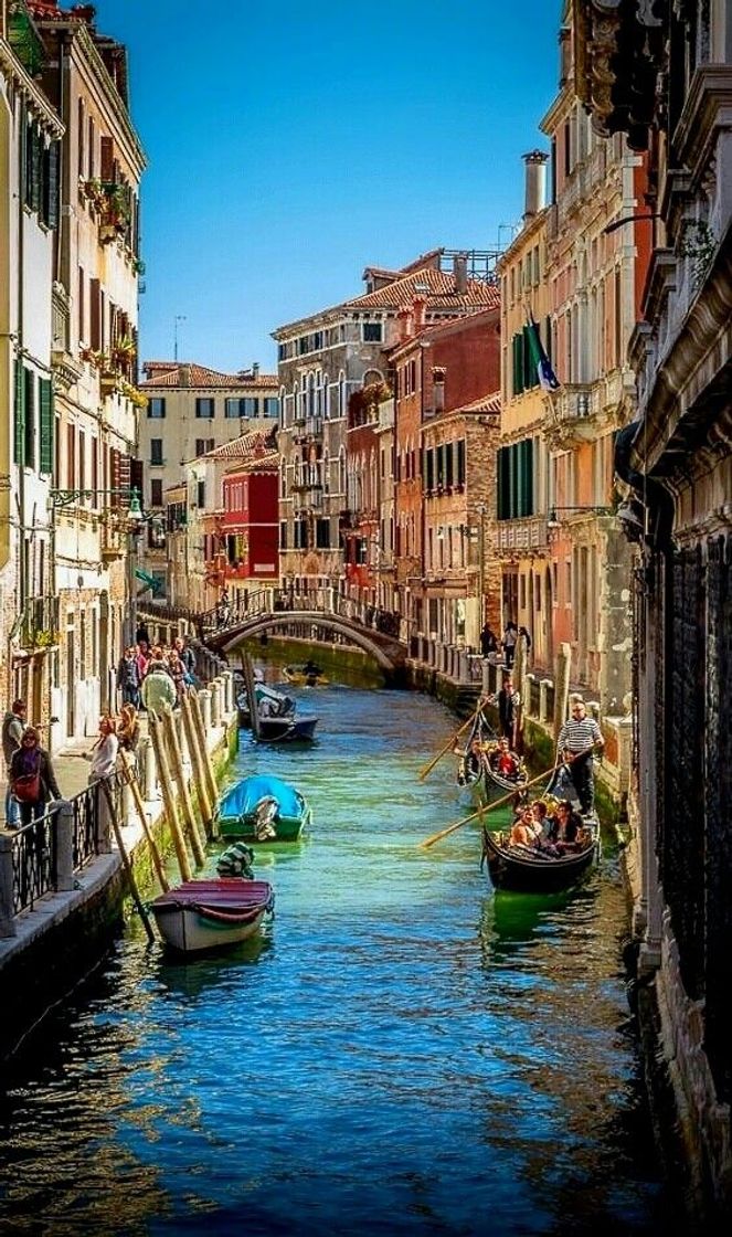 Place Venecia