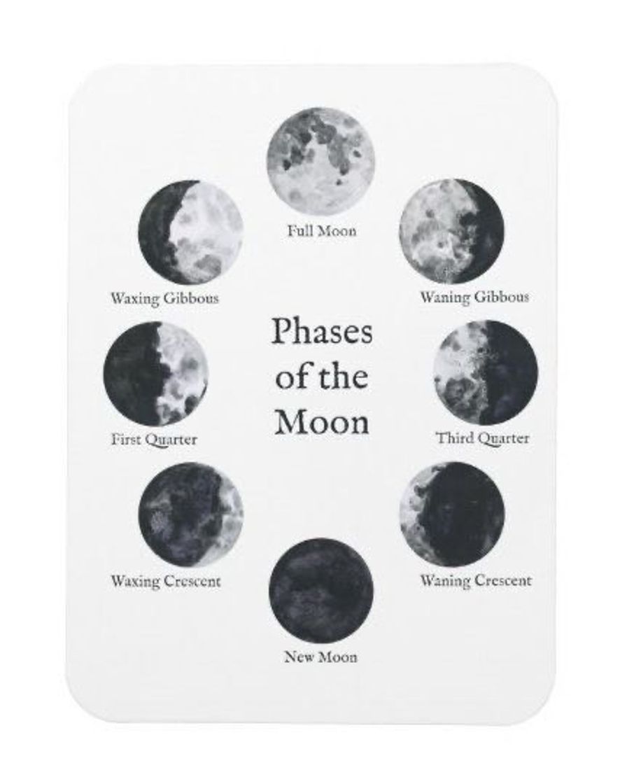 Moda moon phases ✨