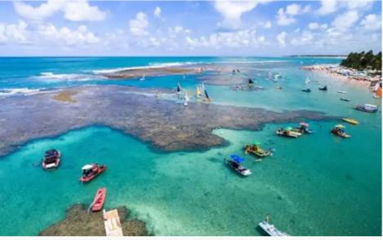 Place Porto de Galinhas