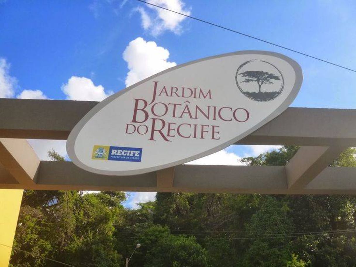 Place Jardim Botânico do Recife