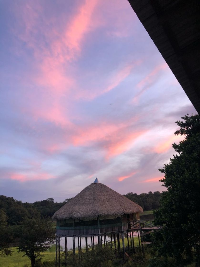 Moda Floresta Amazônica 🌿🦥