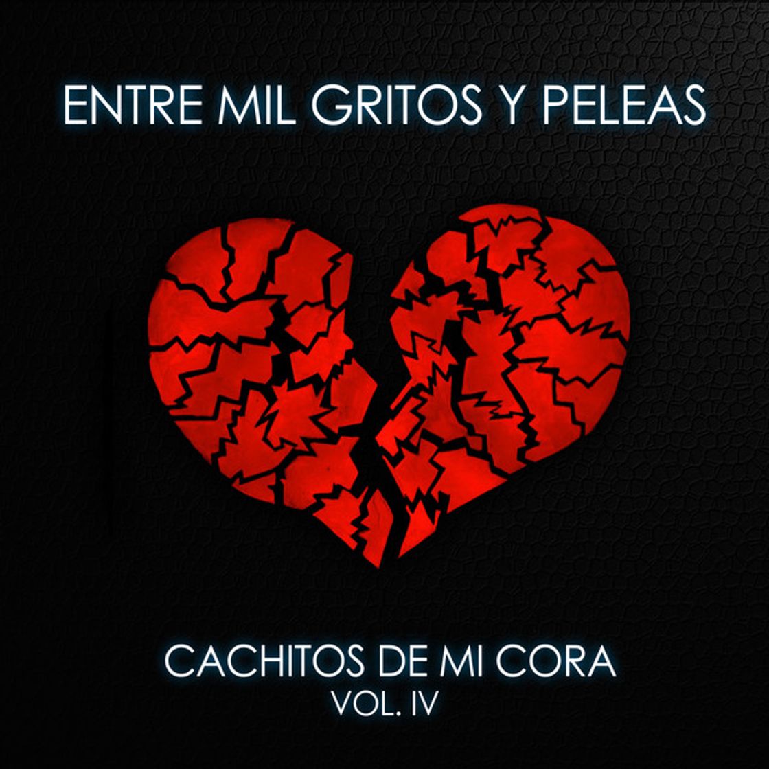 Music Entre Mil Gritos y Peleas