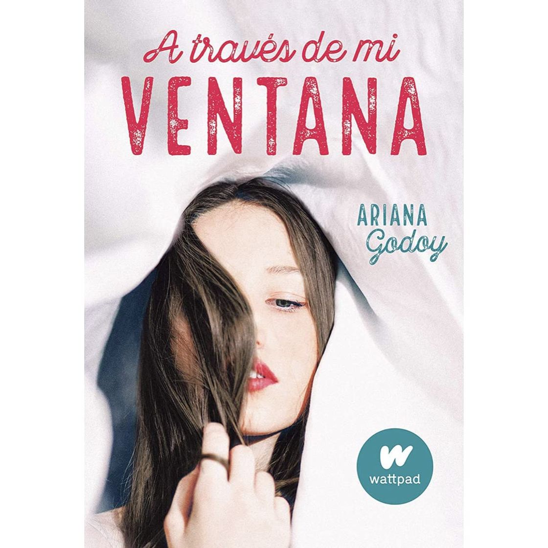 Libro A través de mi ventana