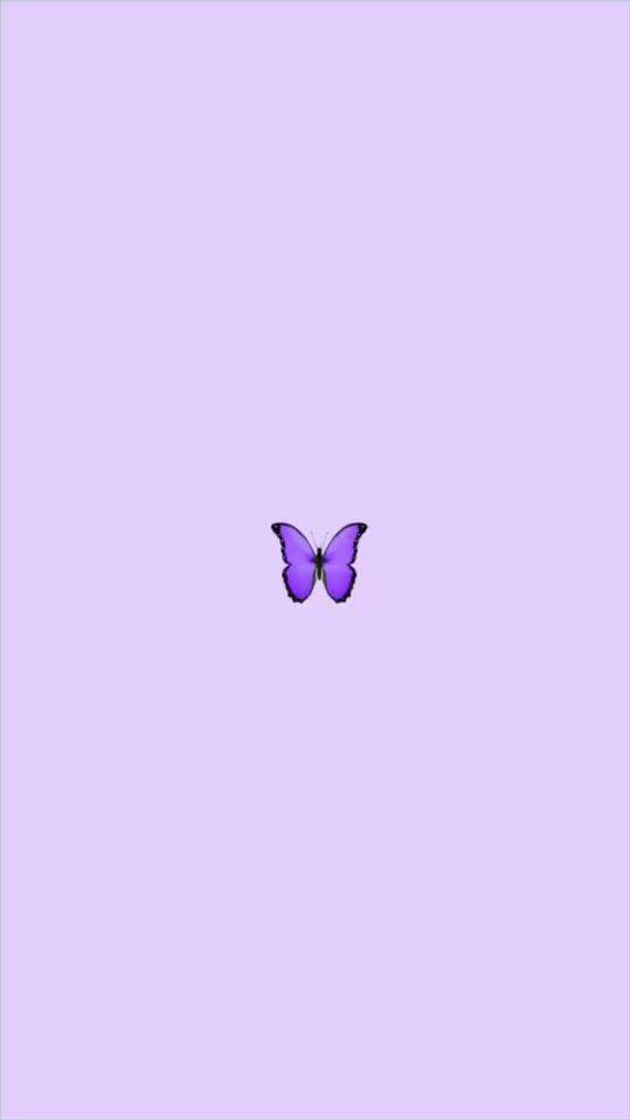 Social 🦋