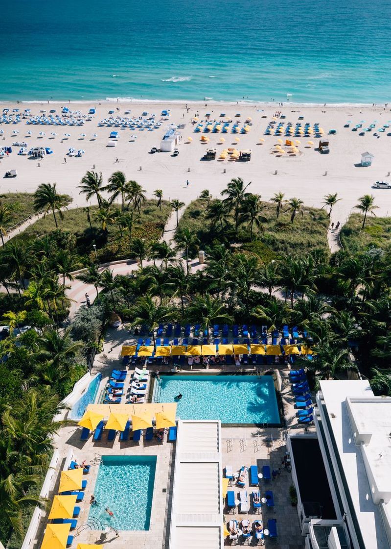 Places Royal Palm South Beach Miami, a Tribute Portfolio Resort