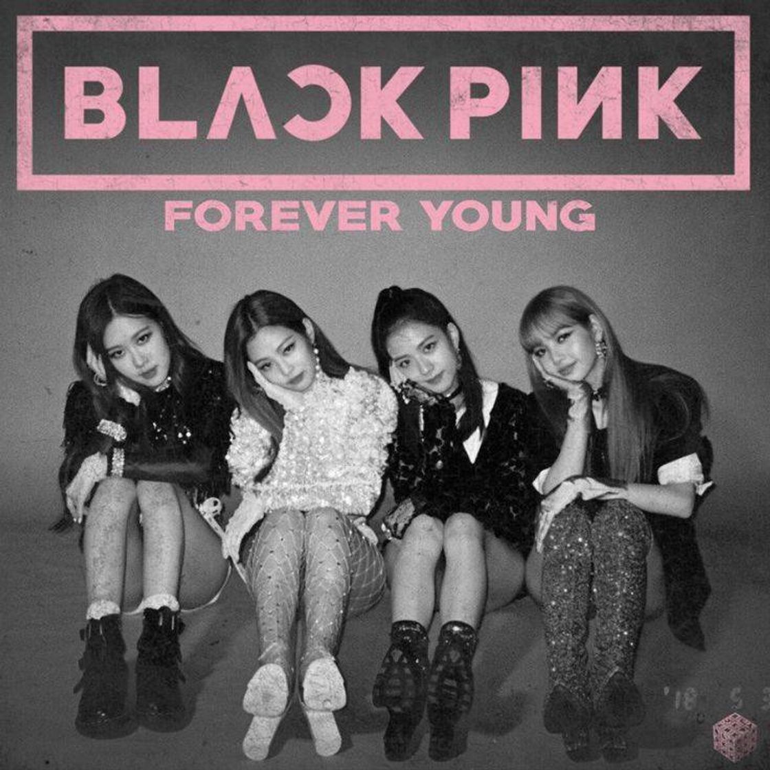 Fashion BLACKPINK - Forever Young // Tradução em português - YouTube