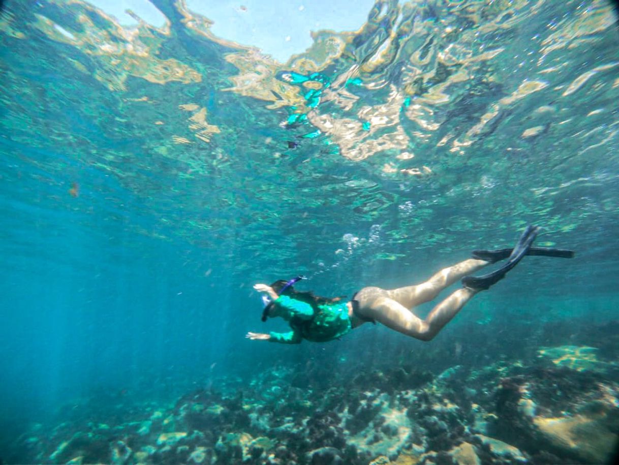 Place Mergulho em Arraial do Cabo