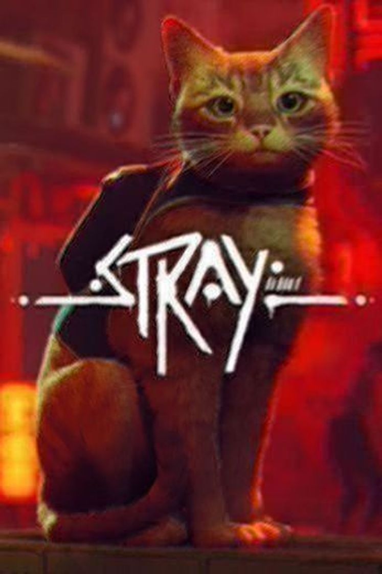 Videogames Stray - El gato callejero